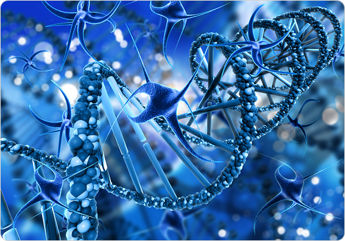 Fundamentals of Stem Cells